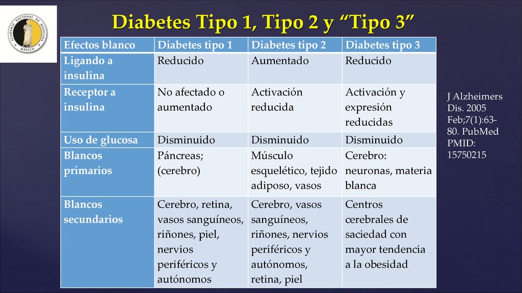 diabetes tipo 3 y síntomas de alzheimer diabetes tipo 3 y síntomas de alzheimer